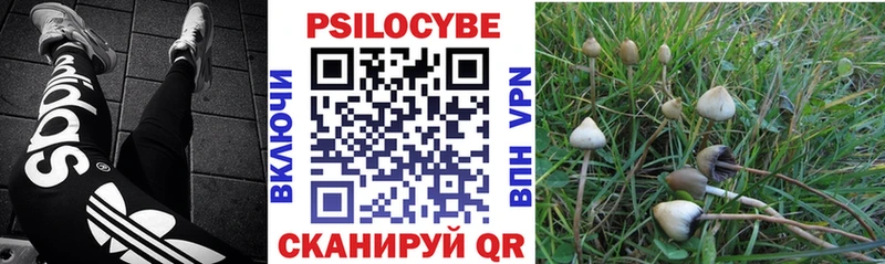 где купить наркоту  Артём  Галлюциногенные грибы мухоморы 